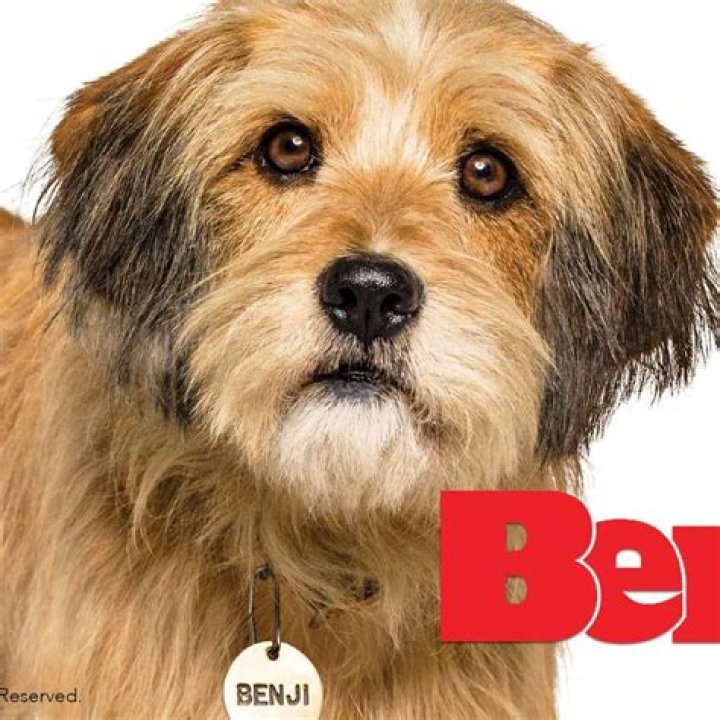 Benji