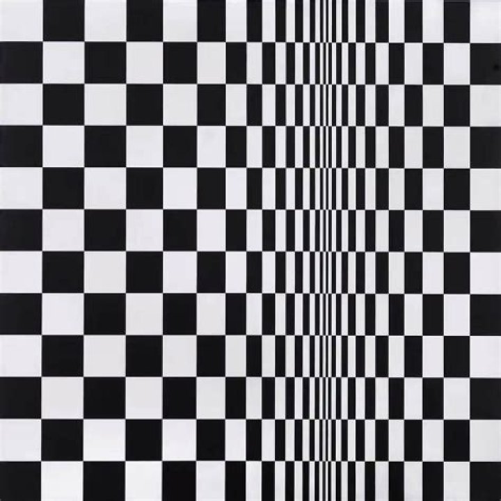 Bridget Riley