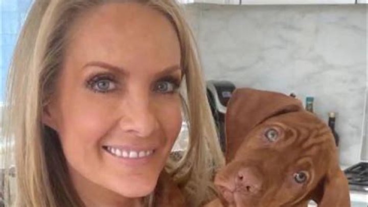 Dana Perino Health Issues | What Happened To Her | Illness And Her Career