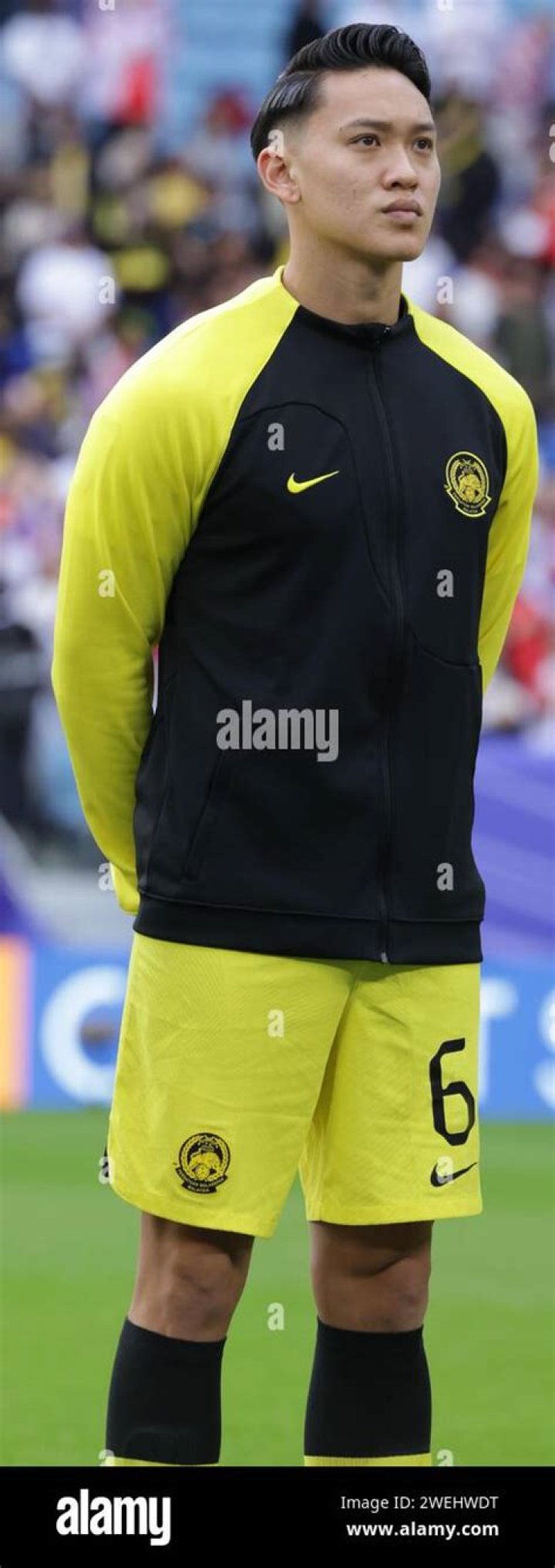 Dominic Tan
