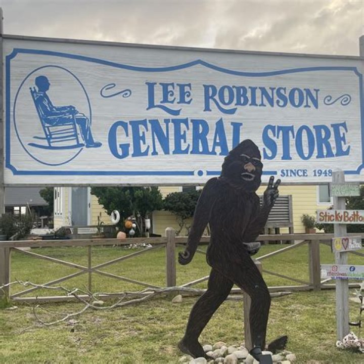 Lee Robinson