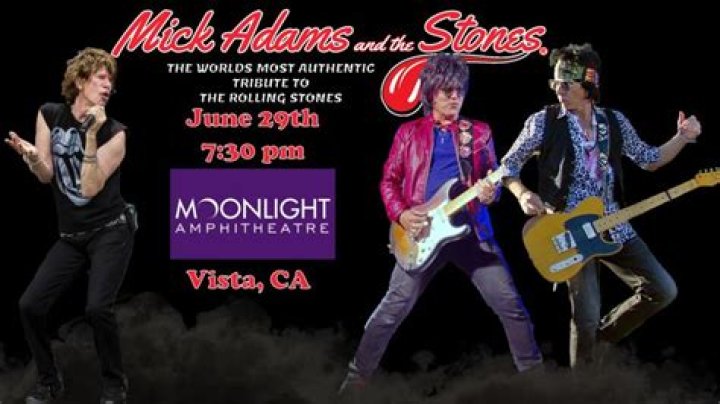 Mick Adams