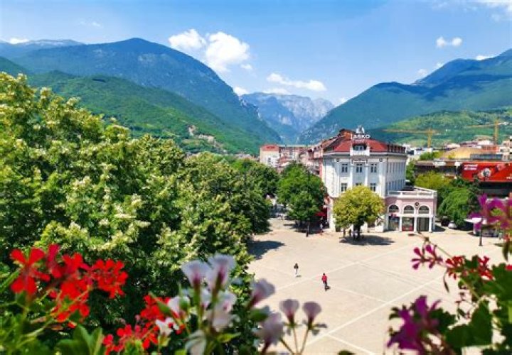 Peja