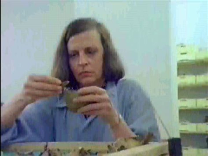 Sara C. Bisel